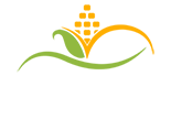 Logo Adisa Final
